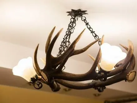 Daire Baciarski 2 Sypialnie